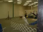 Barb Deyell, DVM, running Ben in agility demo. (29kb)
