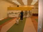 Camille Stephens and Trevor in obedience demo. (26kb)